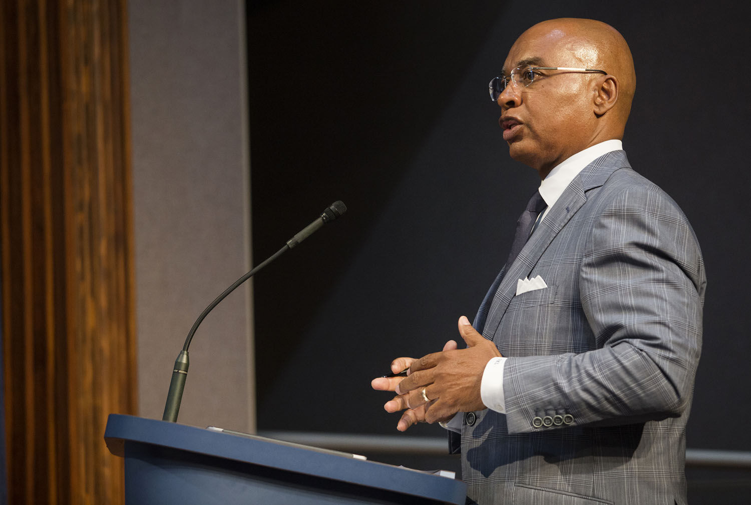 Lanier - Audit findings